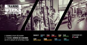 training weeks sporting form